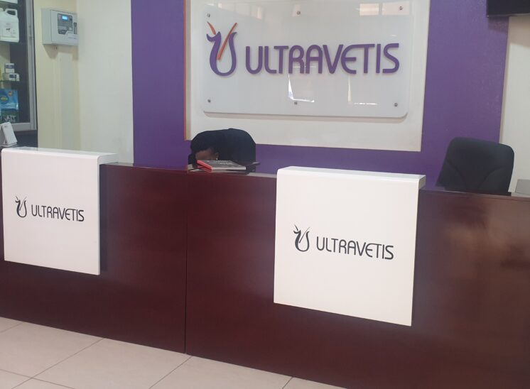 Interior view of Ultravetis reception, designed by Arcs Africa Architects in Nairobi